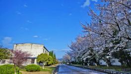 海螺寧國水泥廠環(huán)境優(yōu)美吸引新人拍攝婚紗