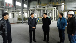 區(qū)委書(shū)記深入華新水泥調(diào)研節(jié)后開(kāi)工復(fù)產(chǎn)情況