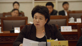 兩會(huì)時(shí)間 何曄暉代表談發(fā)展實(shí)體經(jīng)濟(jì)要把老板留住