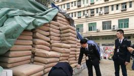 315打假：深圳百余噸假水泥被依法查扣