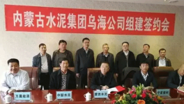 冬去春來，水泥企業(yè)“抱團取暖”，是要干啥