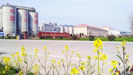 安徽海螺業(yè)績向好 今年豐收在望