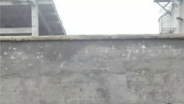 無(wú)法無(wú)天！紅獅水泥暴力阻撓取證