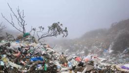 垃圾分類從鼓勵(lì)到強(qiáng)制 “中國式”垃圾處理