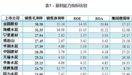 總結(jié)：2016年水泥上市企業(yè)財務(wù)指標(biāo)排位戰(zhàn)