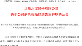 華新水泥副總裁楊群進(jìn)辭職 曾任拉法基瑞安中國(guó)區(qū)CFO