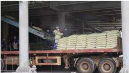 這個(gè)地區(qū)水泥價(jià)格開(kāi)始大幅度下跌