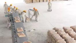 行情 | 2018年初越南水泥出口呈暴漲態(tài)勢