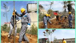 植樹 | 第四十個(gè)植樹節(jié) 水泥人植樹忙