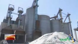 這家企業(yè)污染嚴(yán)重卻打著環(huán)?！按笃臁鄙a(chǎn)水泥