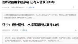 水泥企業(yè)中的真假“李逵”讓人質疑