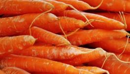 混凝土抗壓強(qiáng)度不夠？加點(diǎn)胡蘿卜！