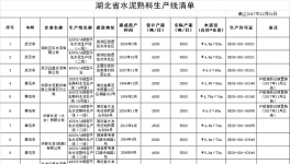 湖北省水泥熟料生產(chǎn)線清單