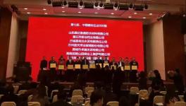 曲寨水泥榮獲中國建材企業(yè)500強(qiáng)企業(yè)