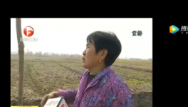 該地區(qū)農(nóng)田整治被揭搞豆腐渣工程，混凝土一捏粉粉碎！