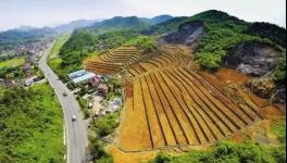 這個(gè)地區(qū)礦石開采多年 欠下“20億”生態(tài)債