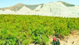 三河廢棄礦山重披綠裝