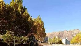 這家官司纏身的水泥企業(yè)或已被中聯(lián)水泥接手！