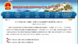 又一條新建水泥產(chǎn)能將落地！