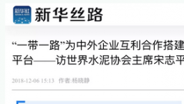 “一帶一路”為中外企業(yè)互利合作搭建平臺