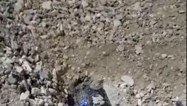 大貨車闖紅燈側(cè)翻!小車瞬間被埋!致3人死亡！