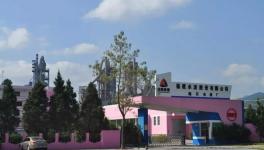 “高顏值”的經(jīng)濟效益 促生又一條4500t/d生產(chǎn)線