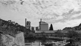 這一地區(qū)水泥龍頭企業(yè)華潤、海螺等喜獲佳績