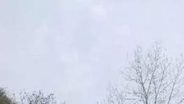 這家水泥廠破壞青山、污染環(huán)境何時休？