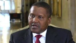 瘋狂！這個(gè)地區(qū)大搞建設(shè)！水泥賣到2000多元/噸！