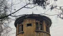 江南水泥廠被指保護(hù)不力，回應(yīng)稱原因復(fù)雜