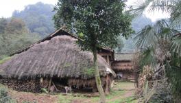 無(wú)化區(qū)來(lái)了！請(qǐng)不要妖魔化水泥廠