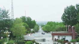 綠色生態(tài)，打造水泥廠最美四月天！