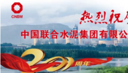 ? 這家水泥廠創(chuàng)造多個行業(yè)第一！盈利225億！納稅288億！