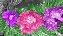 水泥的另外一種美！您見(jiàn)過(guò)嗎？