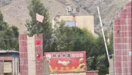 村民舉報：已關(guān)停許久的水泥廠又開始生產(chǎn)，粉塵污染嚴(yán)重