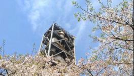 海螺水泥這么強大！答案在這里……