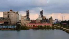 拉動經(jīng)濟(jì)！解決就業(yè)！印尼各級政府高度贊賞海螺水泥！