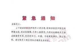 狼來了！這家水泥廠已有員工被抓傷！