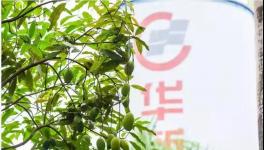 人與自然和諧相處！水泥廠迎來神秘訪客！