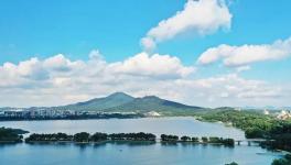 緊急通知！8月15日起推動部分水泥企業(yè)退出！9月起實施階段性停產！