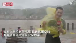 霸王級臺(tái)風(fēng)席卷多省份!近1000家水泥銷售受影響！  