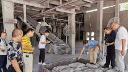 一間停產(chǎn)的水泥廠，竟然生產(chǎn)出了四個牌子的水泥？