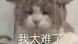 國慶節(jié)的催款心聲，讓數(shù)萬水泥人不再沉默！