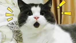 美！太美了！這些花園水泥廠您去過嗎！