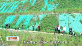 點贊！這一地區(qū)礦山生態(tài)環(huán)境恢復治理近200公頃！