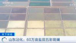 1噸海水超千元！廢料還能造水泥！