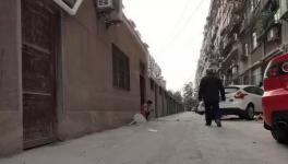 路面?zhèn)z月沒凝固，新鋪水泥路變“豆腐渣路”！