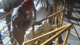 這家水泥企業(yè)用秸稈替代煤炭，一年節(jié)約2.07萬噸原煤