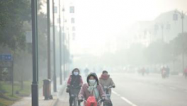 水泥停產(chǎn)！工地放假！物流停運！“春運”提前來了！