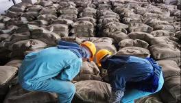 大事！砌筑32.5、P.P、P.F、P.S.A 32.5水泥全部取消！這個省動真格！